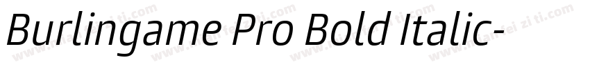 Burlingame Pro Bold Italic字体转换